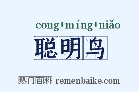 聪明鸟是什么意思的图片